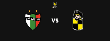 Club Deportivo Palestino vs Coquimbo Unido - Liga de Primera Mercado Libre