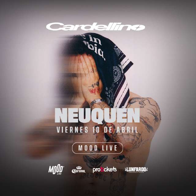 CARDELLINO EN NEUQUEN - CARDELLINO EN NEUQUEN