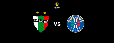 Club Deportivo Palestino vs Audax Italiano - Liga de Primera