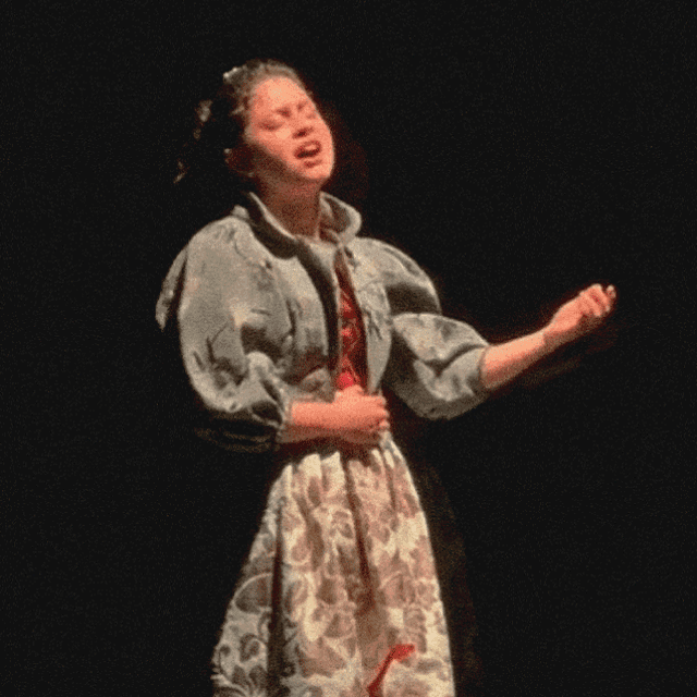 La Gaviota - Enero y Febrero 2026