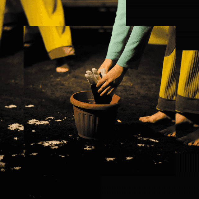 Bufón Teatro presenta "Soy Planta" en Teatro Diana
