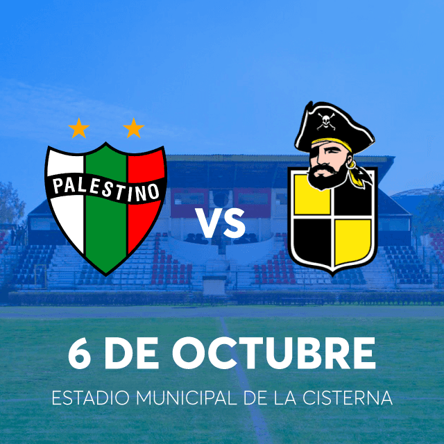 Palestino vs Coquimbo Unido