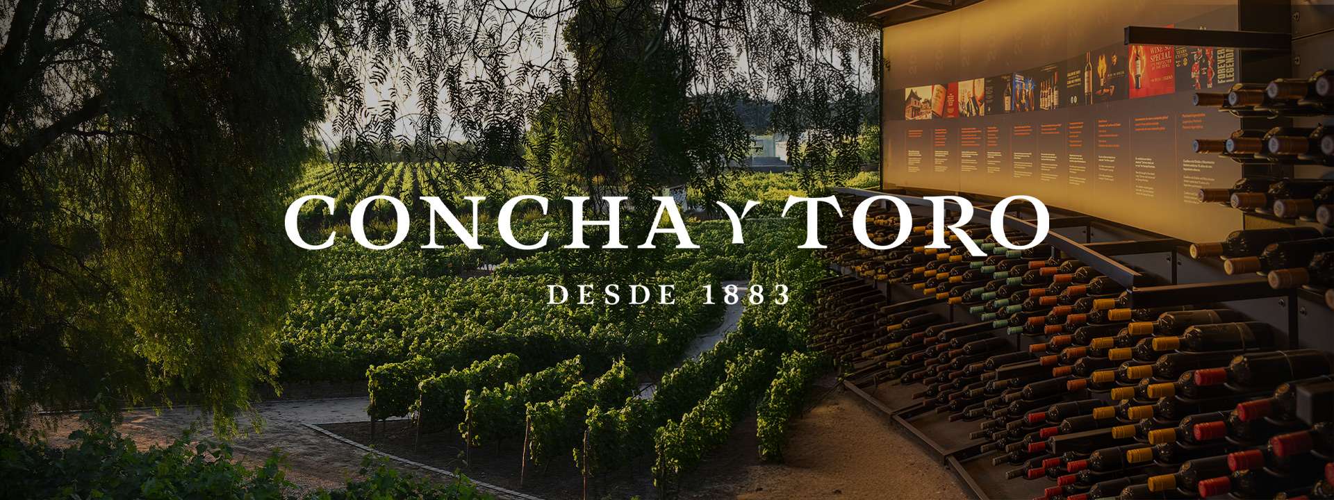 Experiencia Visita Guiada Premium Centro Del Vino Concha y Toro