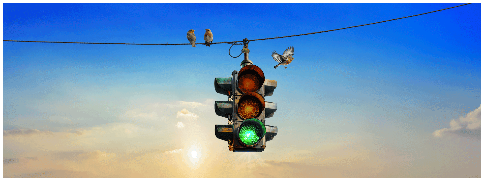 Banner RUSH - Fifty Something