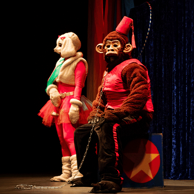 Manifiesto Animal en Teatro Mori Vitacura