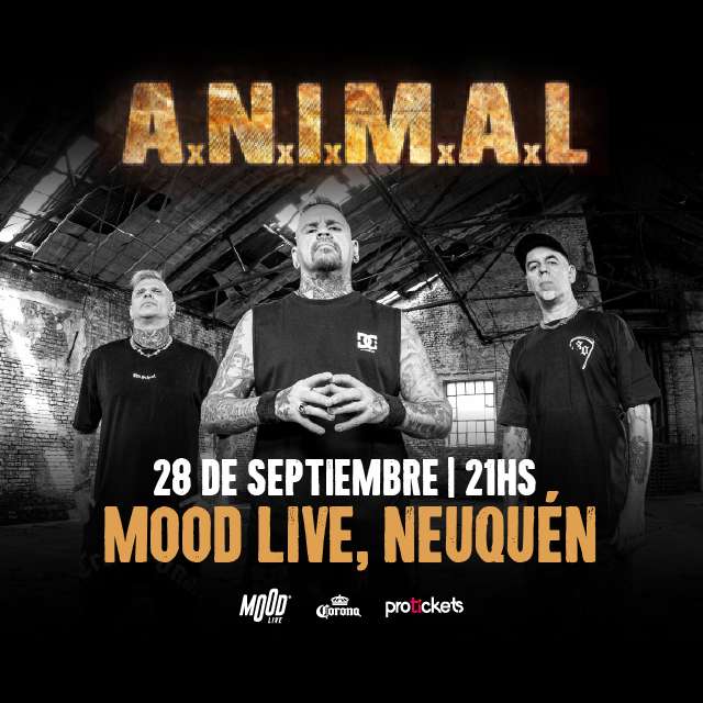 ANIMAL - ANIMAL