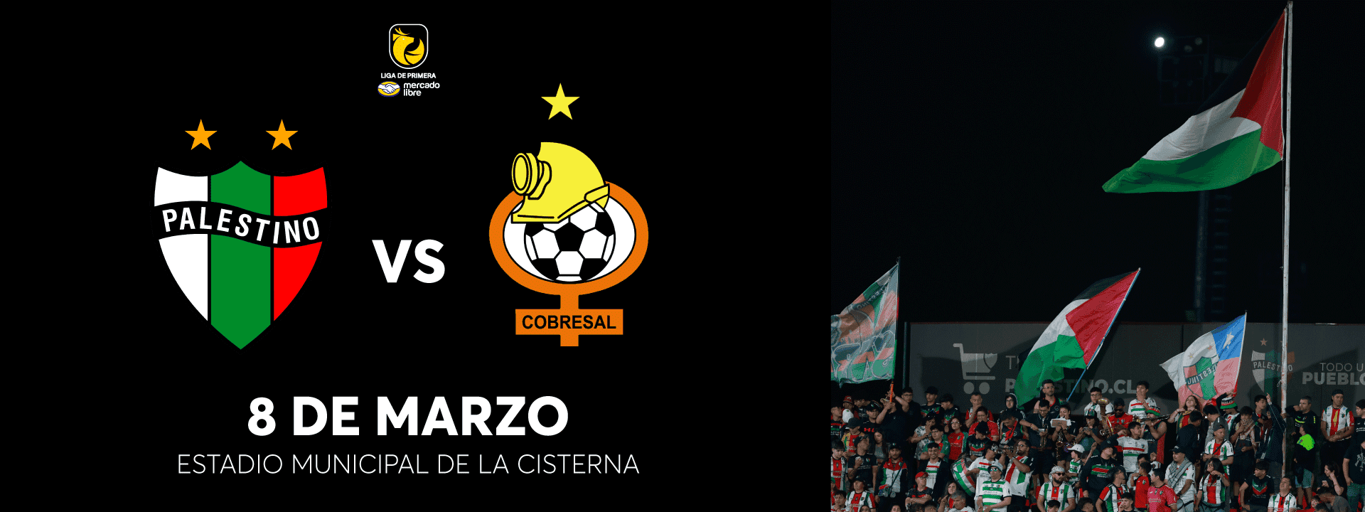 Deportes Palestino vs Cobresal - Estacionamientos