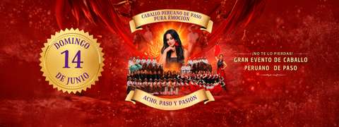 Acho Paso y Pasión Caballo Peruano De Paso Pura Emoción