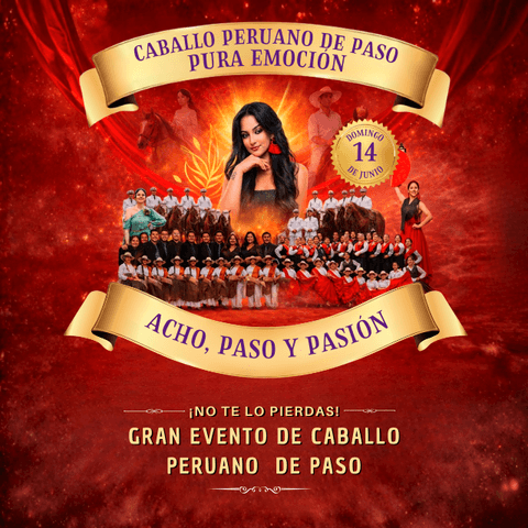 Acho Paso y Pasión Caballo Peruano De Paso Pura Emoción