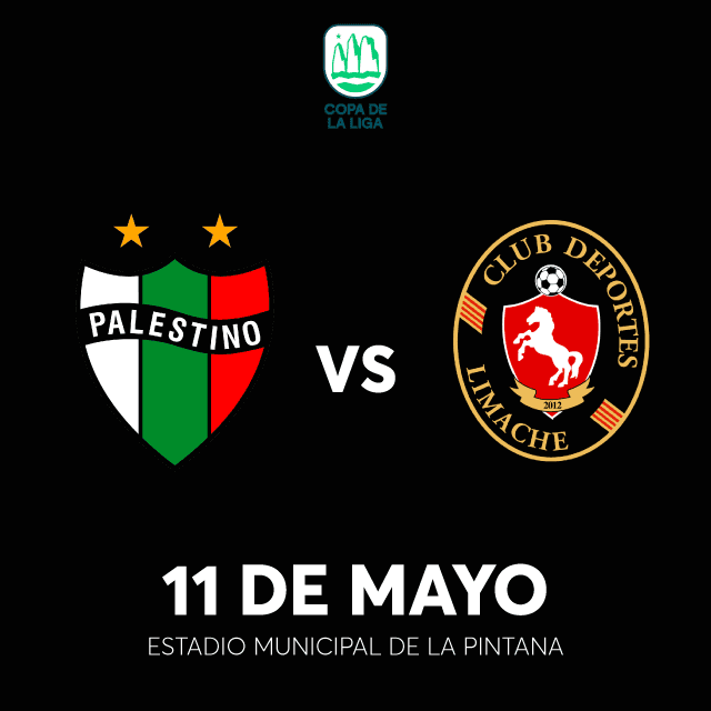 Club Deportivo Palestino vs Deportes Limache - Copa de la Liga