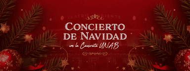 Concierto De Navidad Camerata UNAB