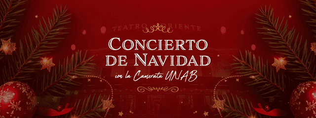 Concierto De Navidad Camerata UNAB