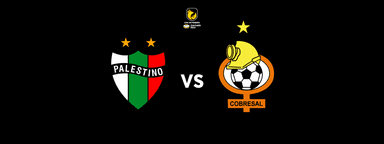 Club Deportivo Palestino vs Cobresal