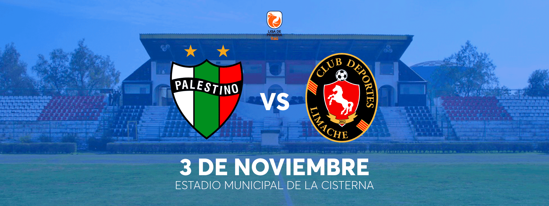 Palestino vs Deportes Limache - Estacionamientos