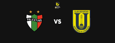 Club Deportivo Palestino vs Universidad de Concepción - Liga de Primera Mercado Libre