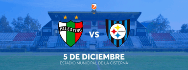 Deportes Palestino vs Huachipato - Liga de Primera ITAÚ