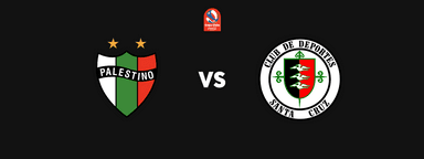 Club Deportivo Palestino vs Deportes Santa Cruz - Copa de la Liga