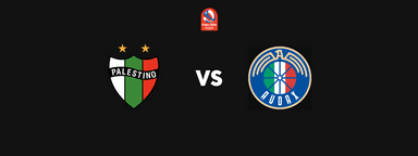 Club Deportivo Palestino vs Audax Italiano - Copa Chile