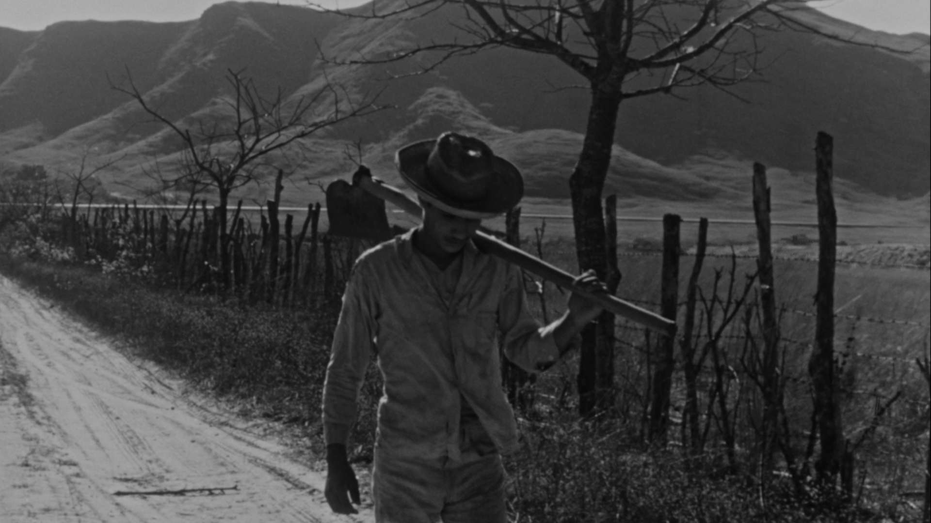 MUBI FEST BOGOTÁ