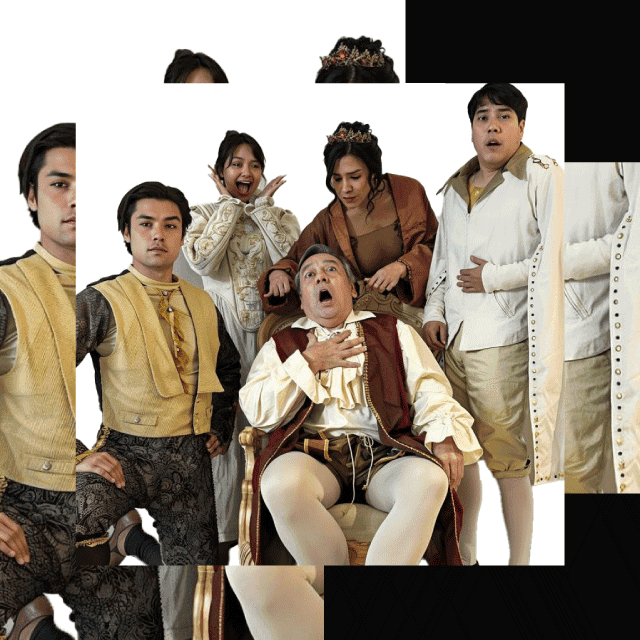 Mucho Ruido Pocas Nueces en Teatro Diana