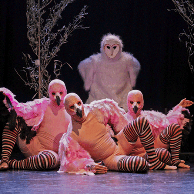 Las Medias De Los Flamencos en Teatro Mori Vitacura
