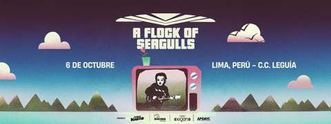 A Flock Of Seagulls