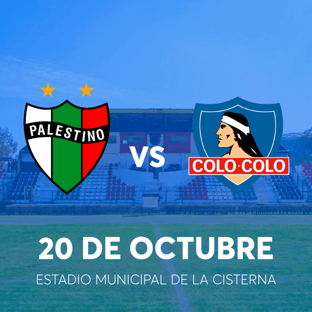 Palestino vs Colo Colo