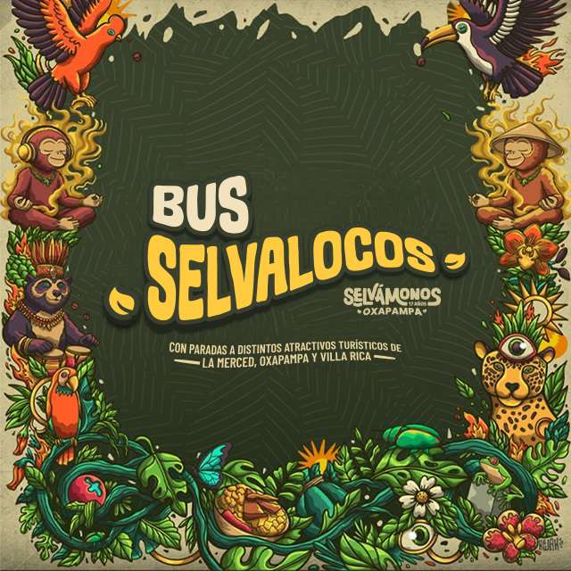 Bus Selvalocos
