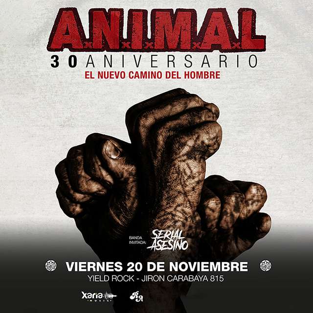 Source image — A.N.I.M.A.L