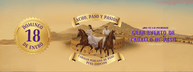 Acho Paso y Pasión Caballo Peruano De Paso Pura Emoción