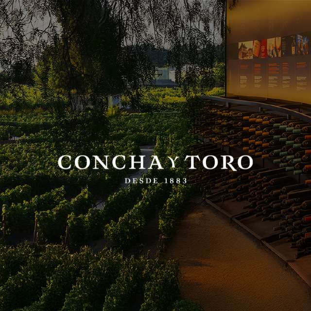 Experiencia Visita Guiada Premium