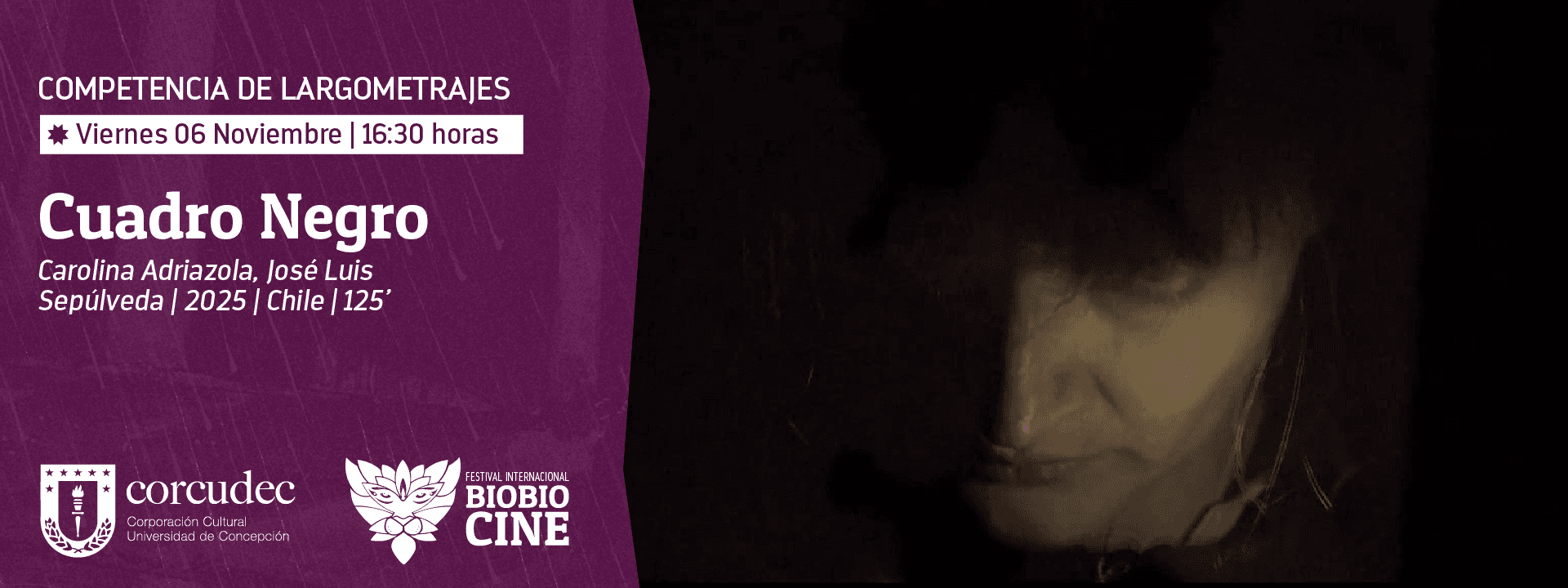 Festival BioBioCine