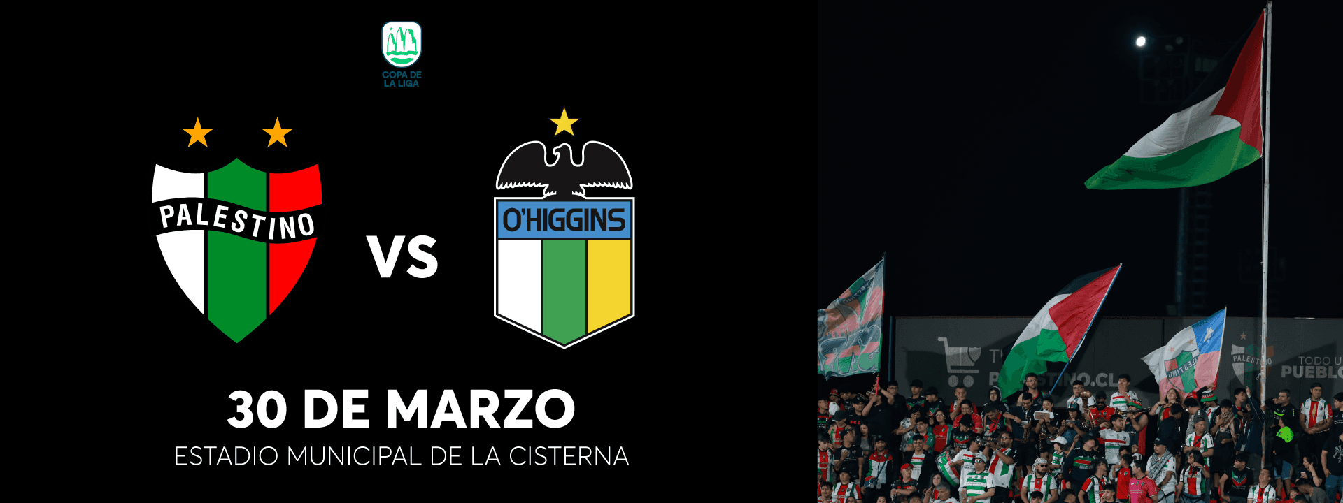 Club Deportivo Palestino vs O'Higgins - Copa de la Liga - Estacionamientos