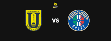 Universidad de Concepción vs Audax Italiano - Liga de Primera Mercado Libre