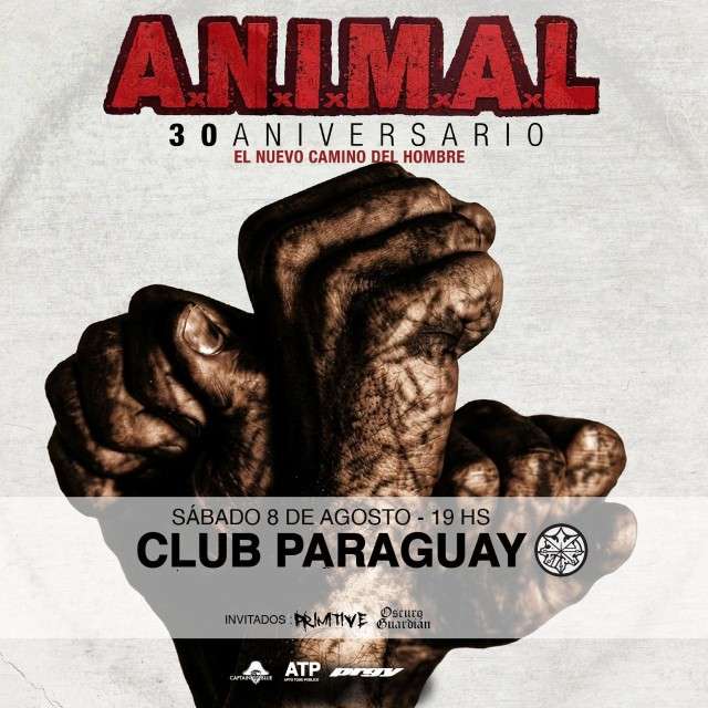 その他 Animal Fun [DVD] [Import] ANIMAL